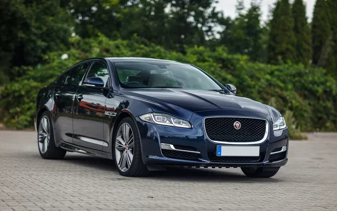 jaguar xj Jaguar XJ cena 116900 przebieg: 34000, rok produkcji 2017 z Wysoka